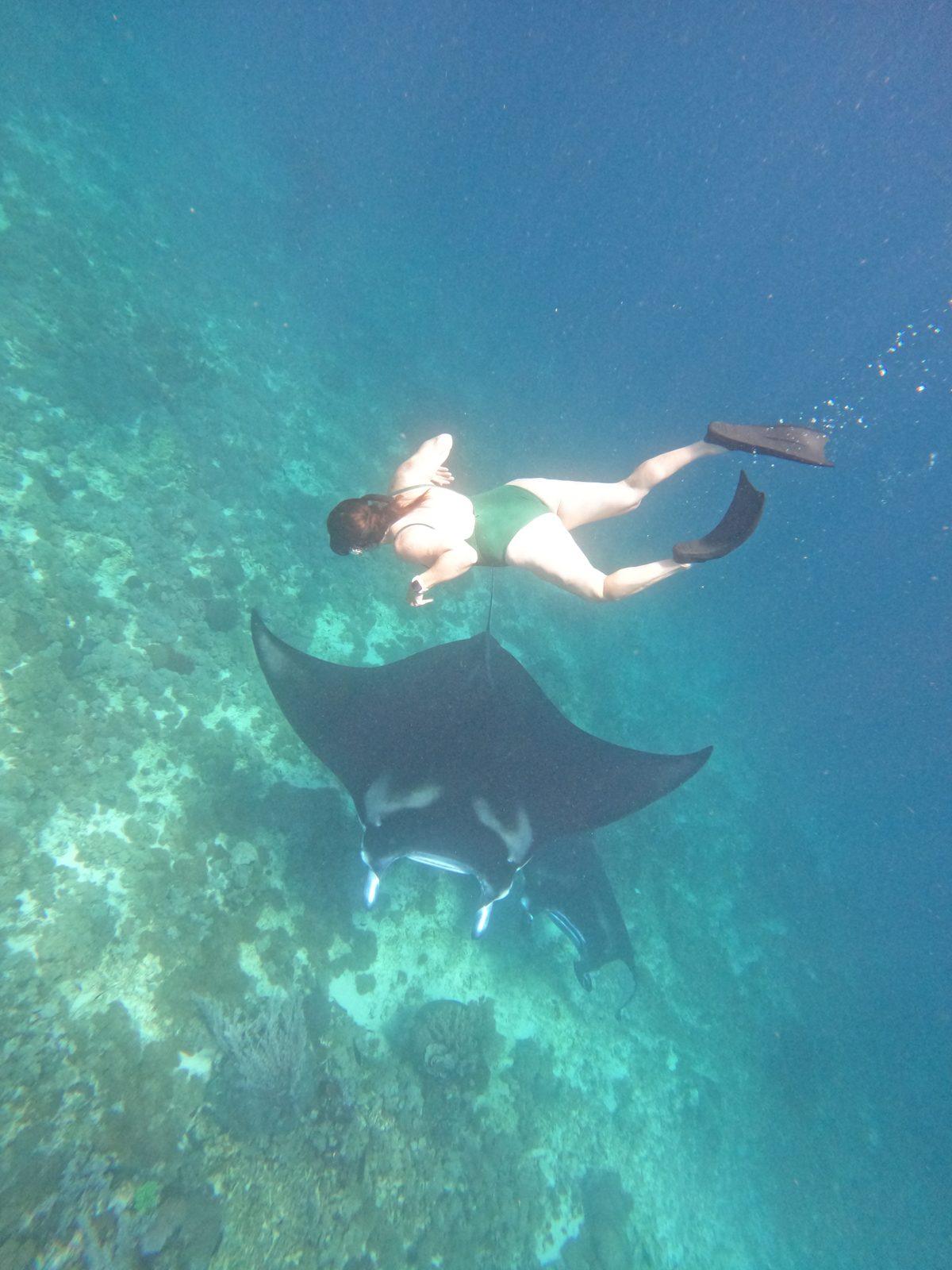 Manta Point – Snorkeller swimming beside manta ray (Taken on a real Komodo Explorer trip)